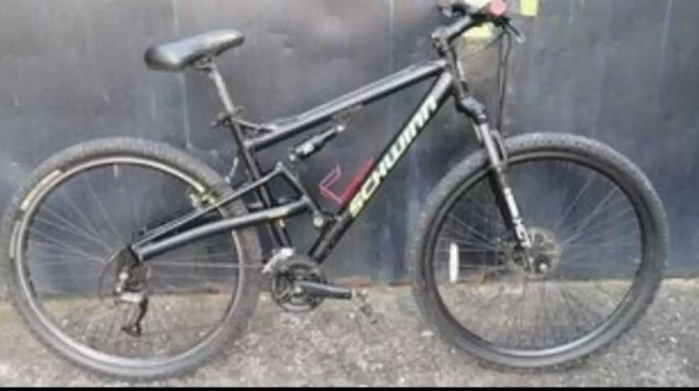 $300.00 Bicicletas | bicicleta montañesa schwinn rin29