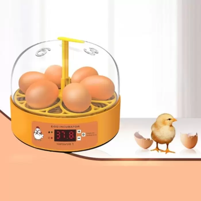 $75.00 Accesorios de mascotas | incubadora de 6 huevos de capacidad semiautomatica