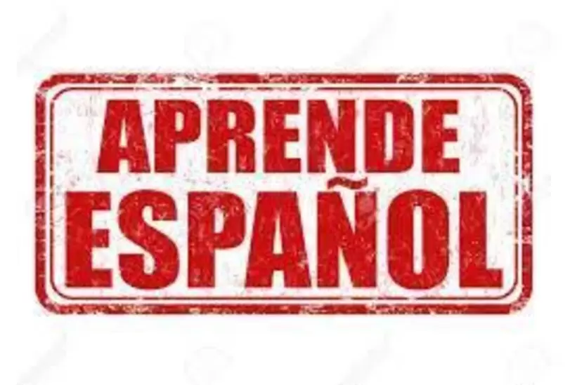 Idiomas | español personalizado. clases para extranjeros a domicilio. garantizado.